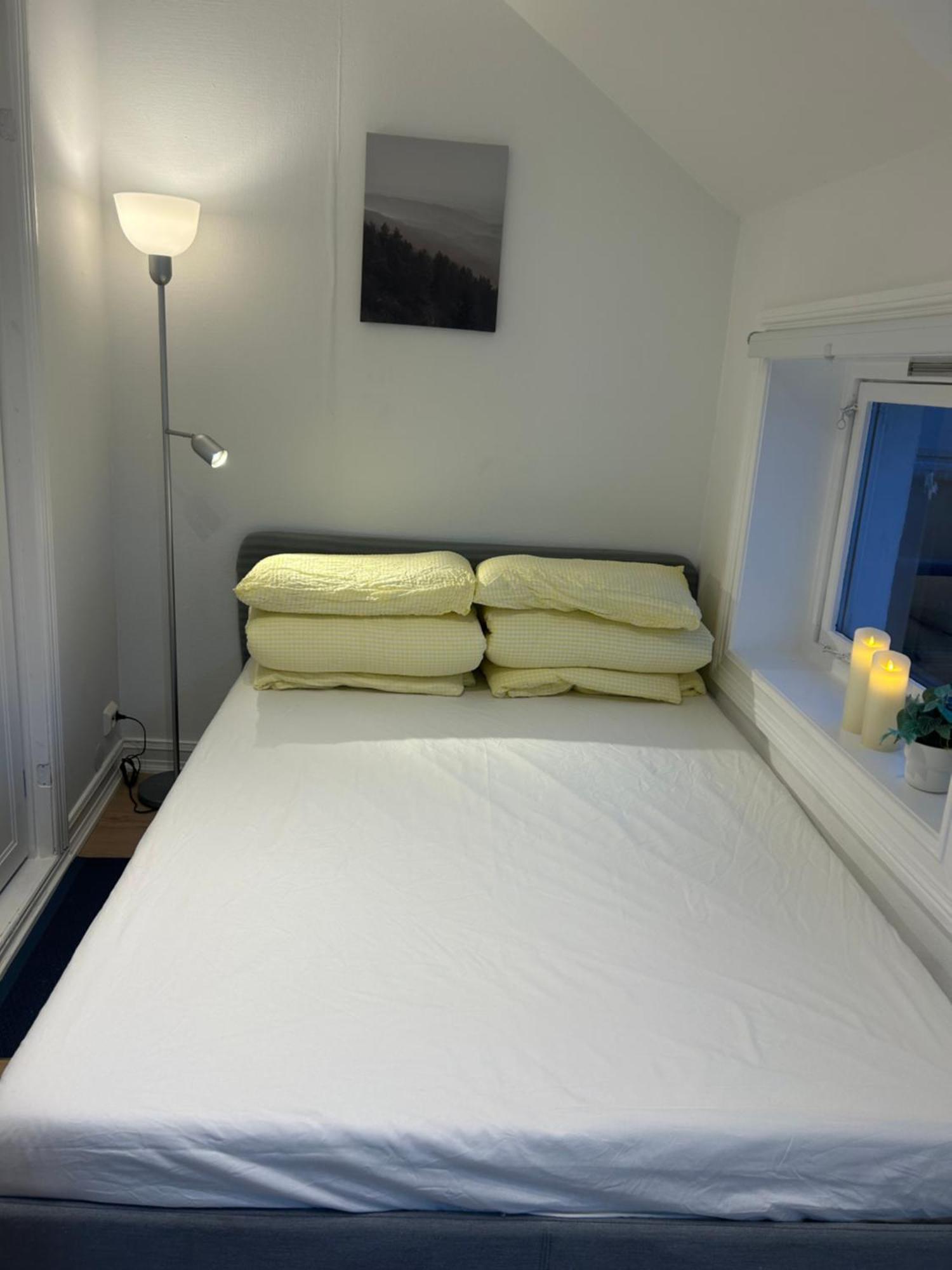 Lejlighed Cozy Studio